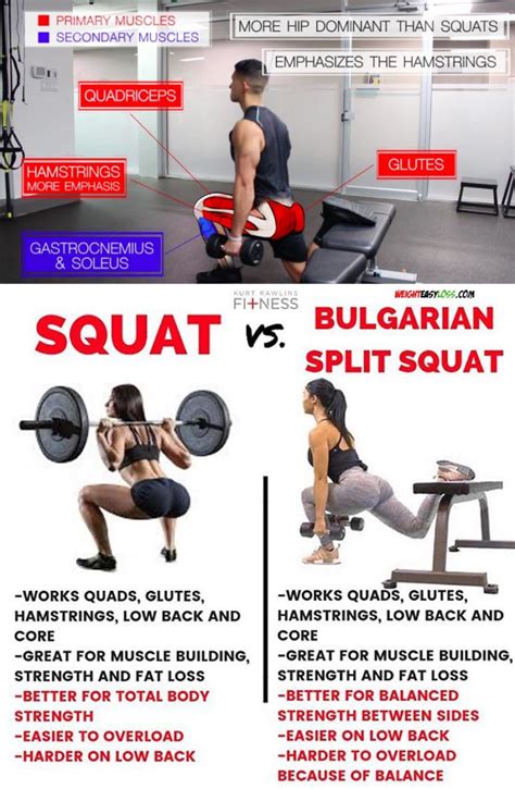 bulgarian split squat how many reps